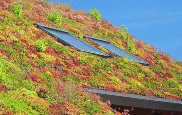 Alton Priors living roof systems