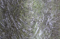 Alton Priors fibreglass roof work